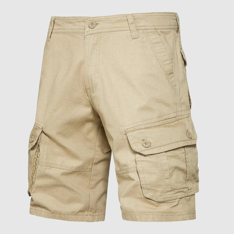 Theodore Willow Cotton Cargo Shorts Ash & Harbor